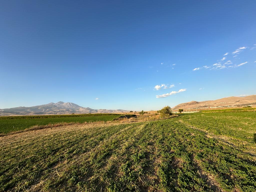 KAYSERİ DEVELİ GÜNEYAŞAĞI MAHALLESİ TEKKEFIDINI MEVKİİNDE SATILIK HOBİ BAHÇESİ